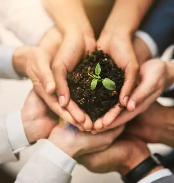 View CSR Activity