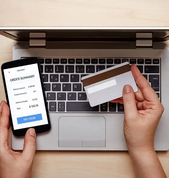 View Online Payment